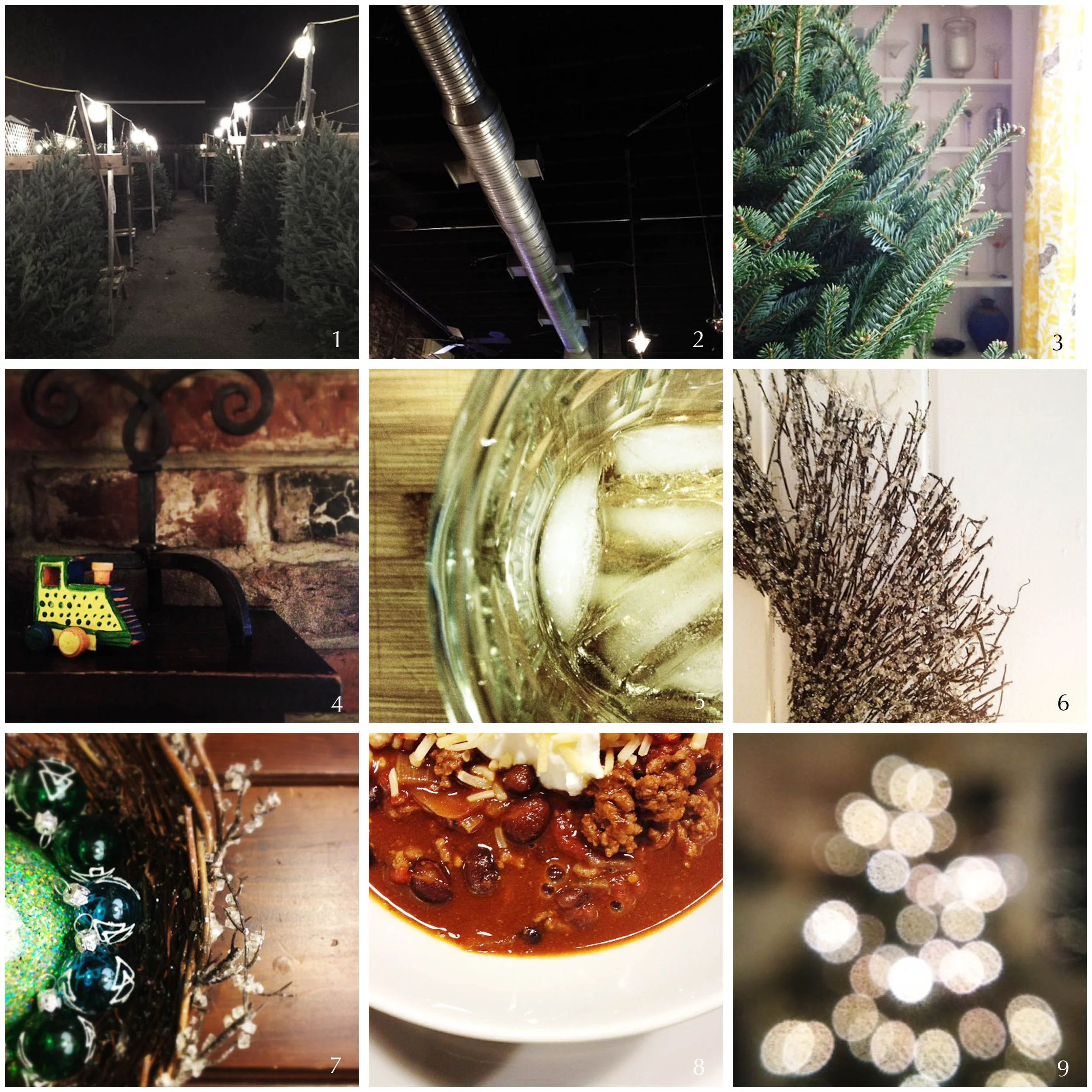 1. tree hunt | 2. local joint 3. in situ | 4. dinner with friends | 5. st. germain on ice | 6. ice wreath | 7. deco time | 8. chili | 9. success