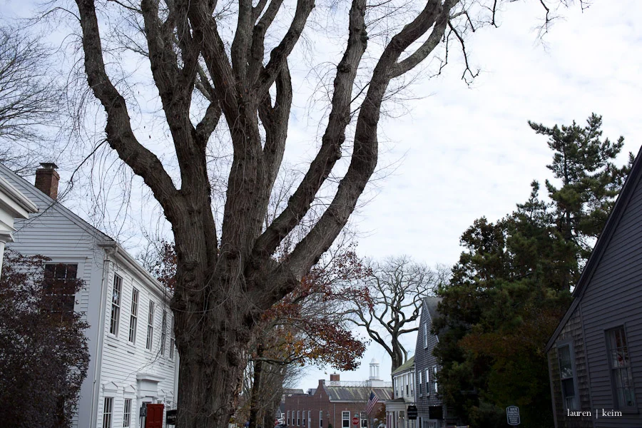 nantucket-15.jpg