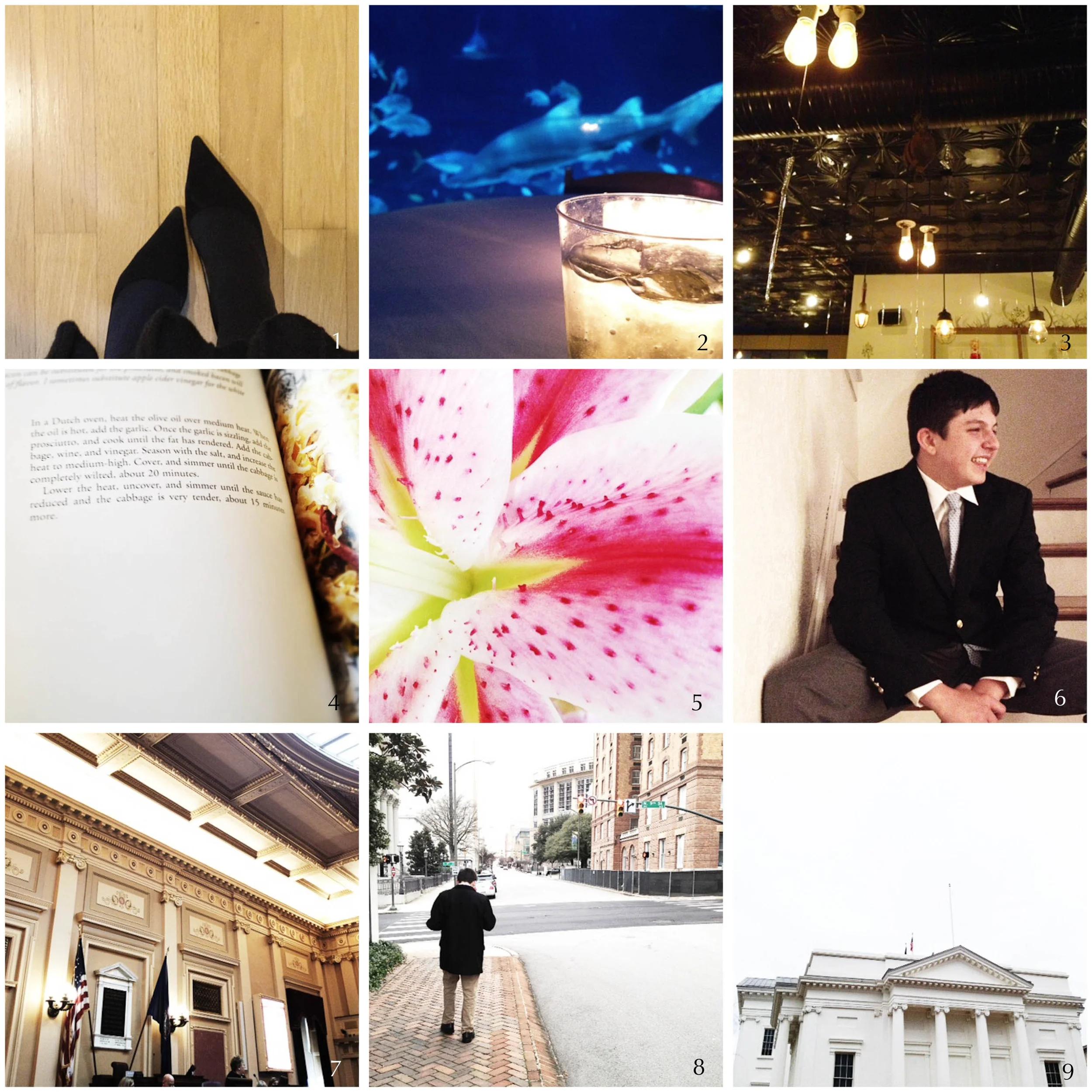 1. apparently it IS okay to wear a sweater dress to a cocktail party when it's 20º out... if you accessorize properly | 2. there are sharks and there are sharks | 3. the reward for the cocktail party: dinner with friends | 4. dinner planning for two | 5. beloved stargazers | 6. uniform trial run | 7. orientation | 8. on his own | 9. it begins