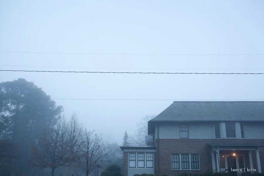 fog-2.jpg