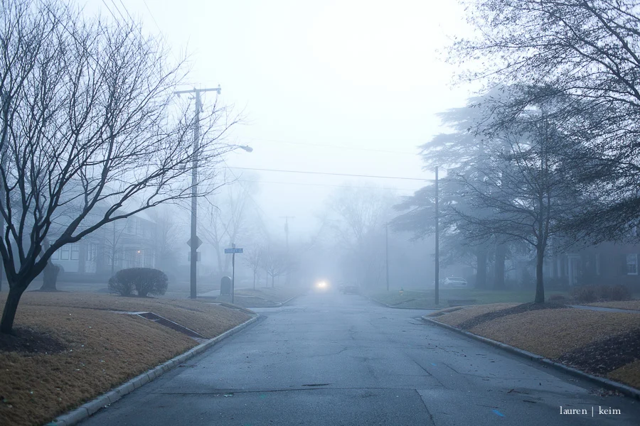 fog-8.jpg