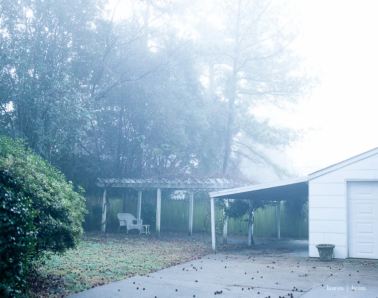 fog-9.jpg