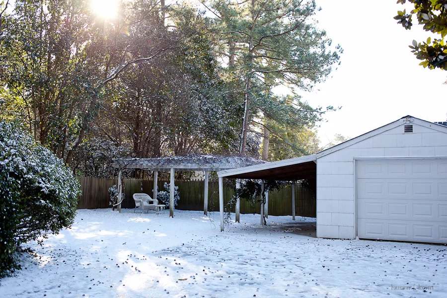 snowday-9.jpg