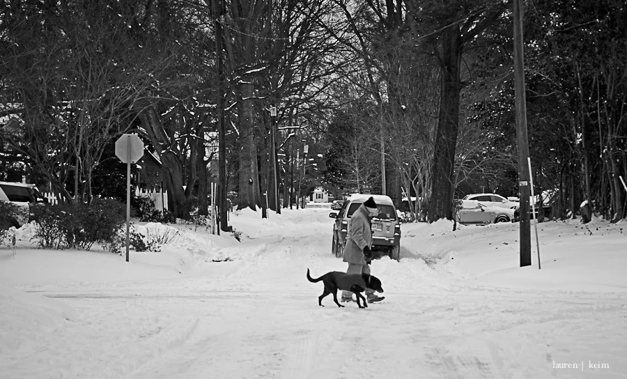 snow2-11.jpg