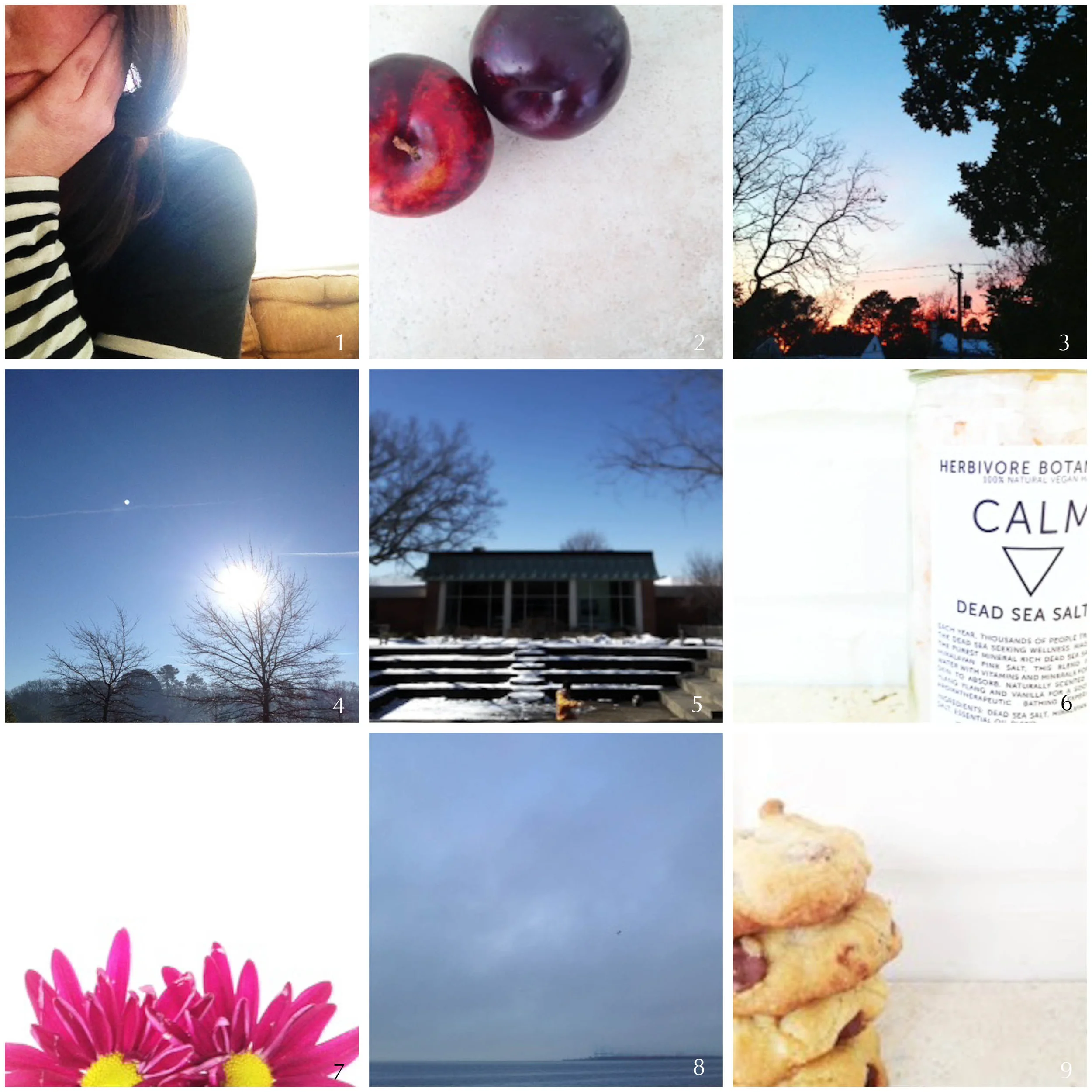 1. honoring my favorite "o" baby | 2. plums in the icebox | 3. winter sunset | 4. foggy morning | 5. pitball | 6. soothing | 7. studio time | 8. foggy morning | cal's cookies