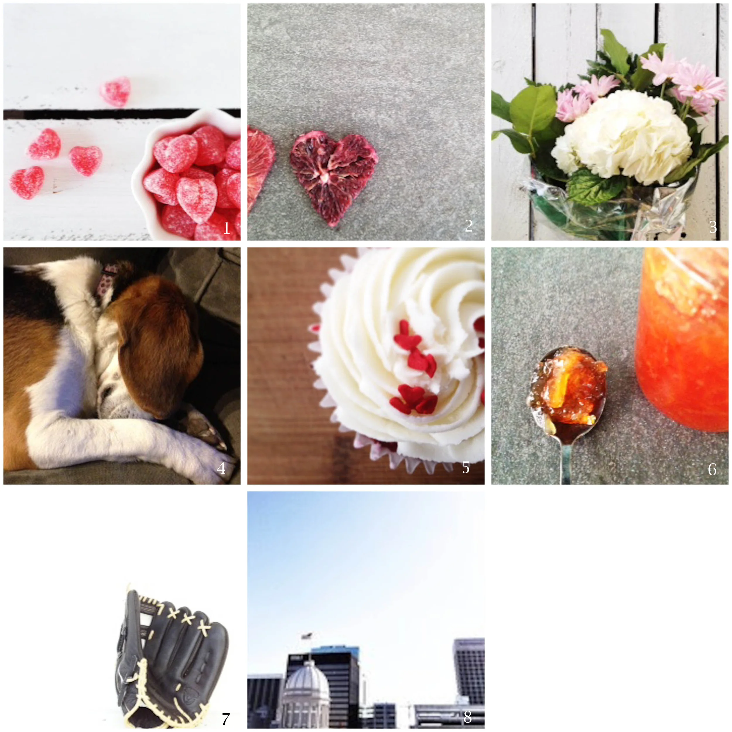1. valentine's candy that I almost ate all by myself | 2. blood orange hearts | 3. flowers from my valentine | 4. sleepy beagle | 5. breakfast of champions | 6. the real "breakfast of champions" | 7. spring training | 8. monuments men at the macarthur monument