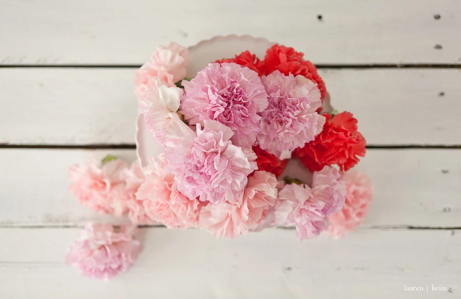 carnations-3.jpg