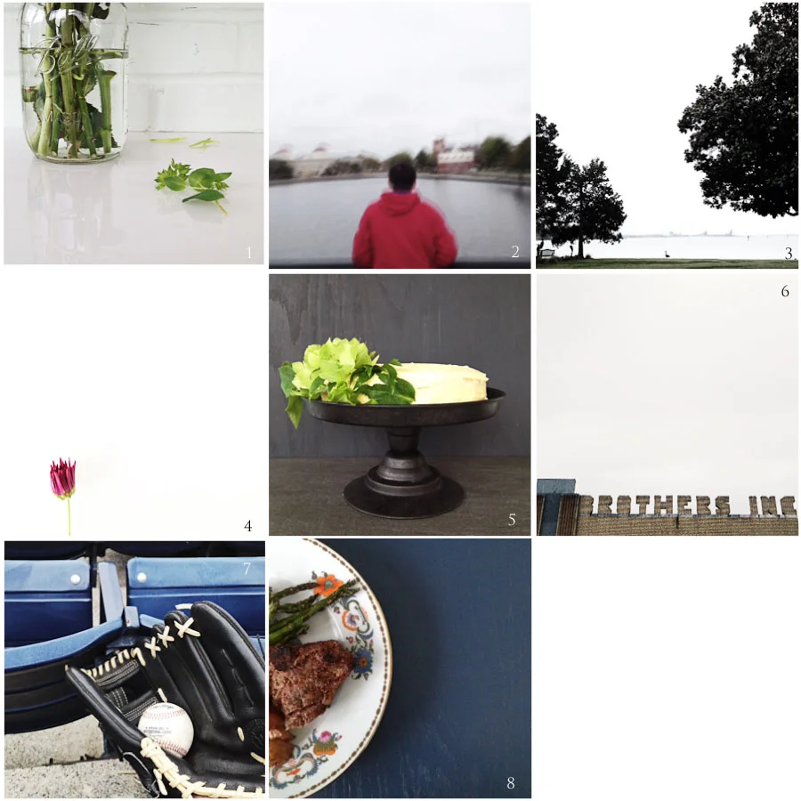 1. reflection | 2. reflection (intentional blur) | 3. tiny | 4. tiny, from our easter bouquet | 5. cake! | 6. type in the wild | 7. ballpark | 8. dinner