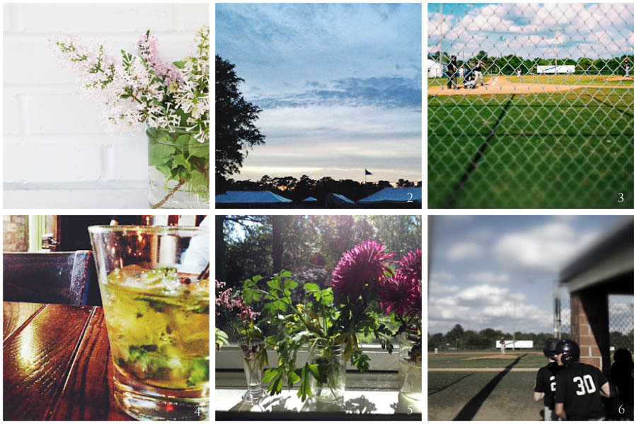 1. lilacs from Neel's garden | 2. quiet night | 3. baseball saturday | 4. mint julep | 5. sunny window | 6. baseball sunday