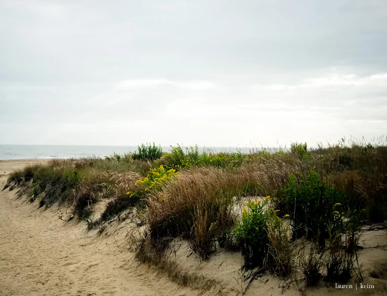 Foggy Morning :: Fuji XE2, 27mm