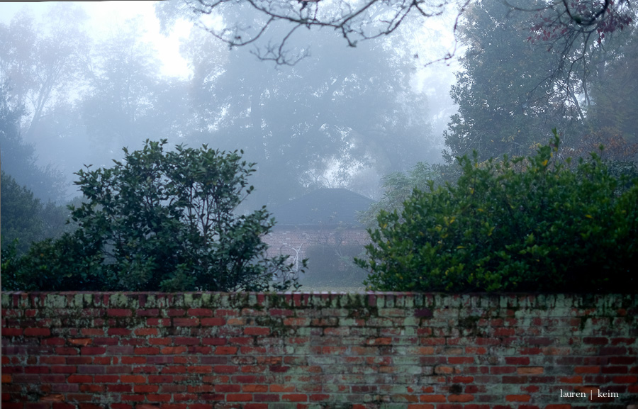 Foggy morning. Fuji X-E2, 35 mm