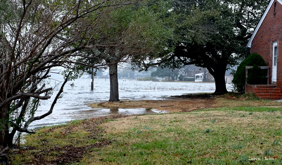 Norfolk in flood, walk aborted