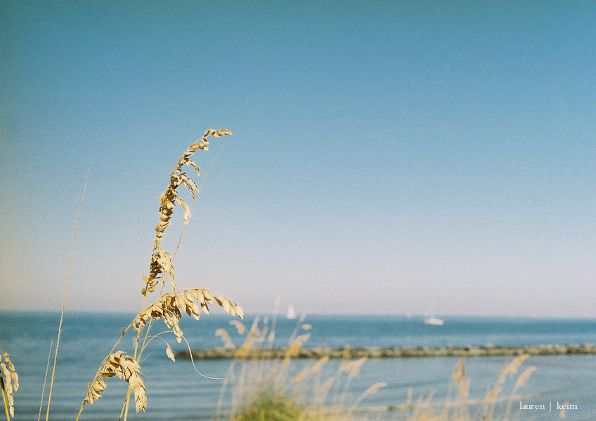 Pentax K1000, Kodak Ultramax 400