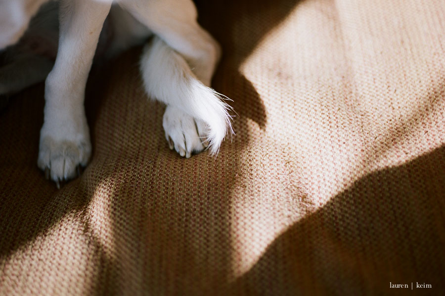 Kodak Portra400 on my Pentax645n