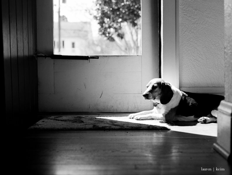 Kodak T-Max 100 shot on a Pentax 645n