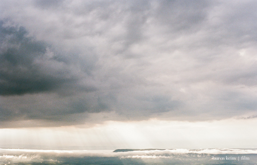 Portra 160, 35mm