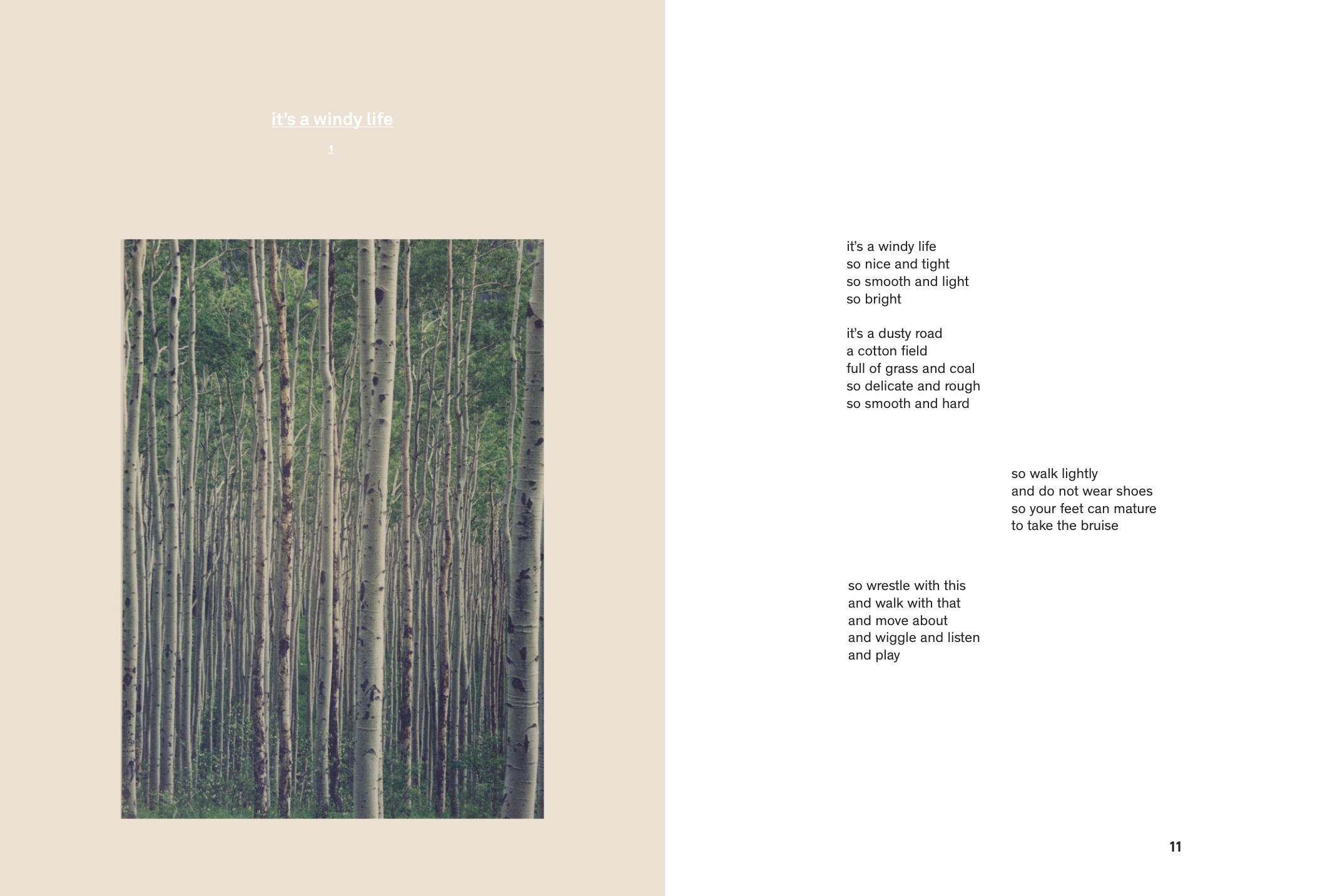 Screen Shot 2018-11-28 at 11.14.03 AM.png