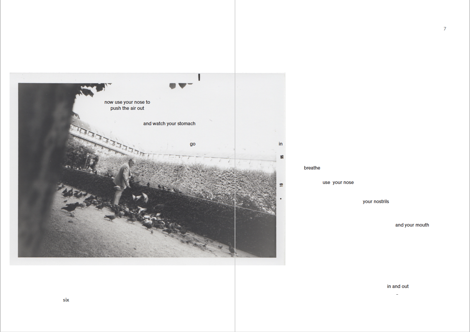 Screen Shot 2019-12-17 at 12.53.57 PM.png