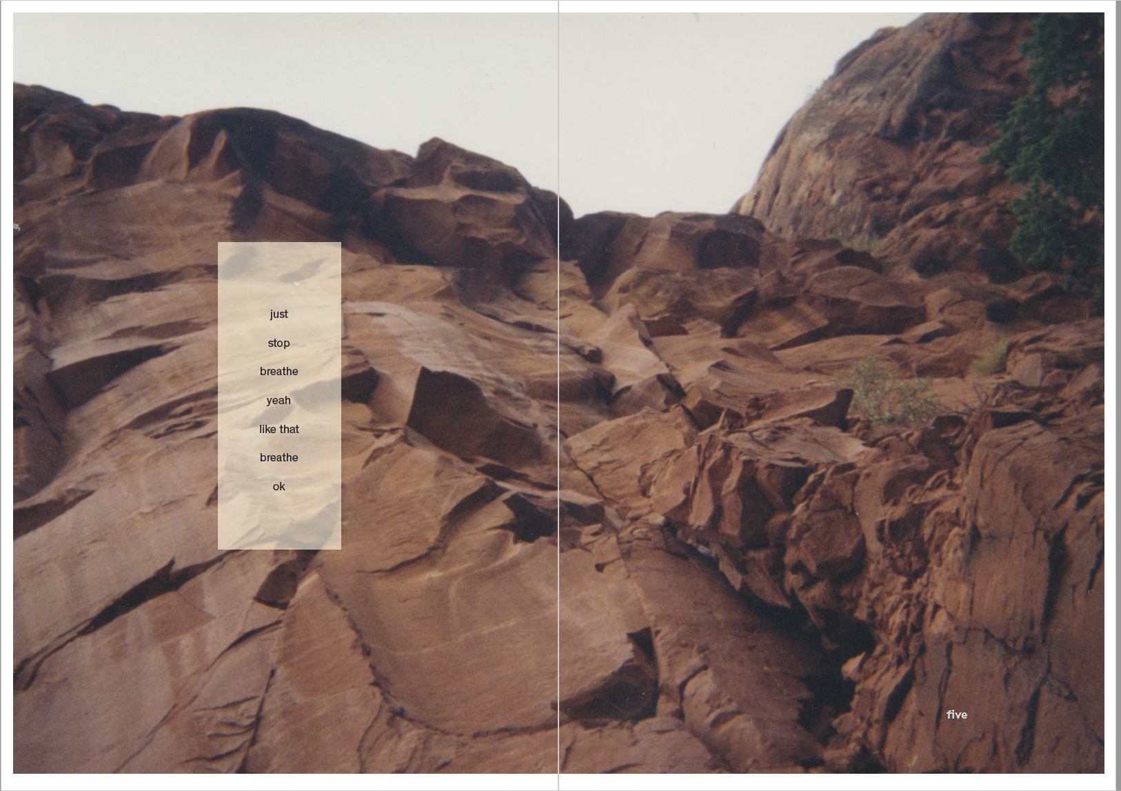 Screen Shot 2019-12-17 at 12.53.44 PM.png