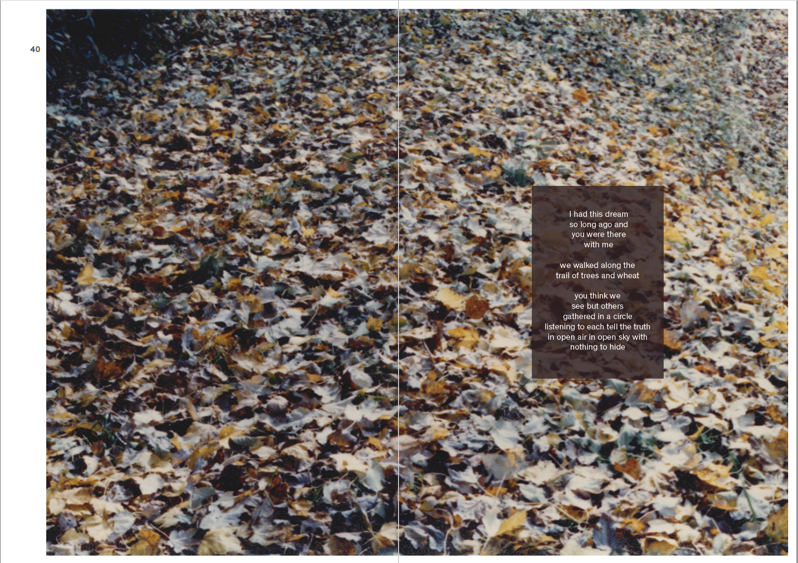 Screen Shot 2019-12-17 at 12.57.04 PM.png