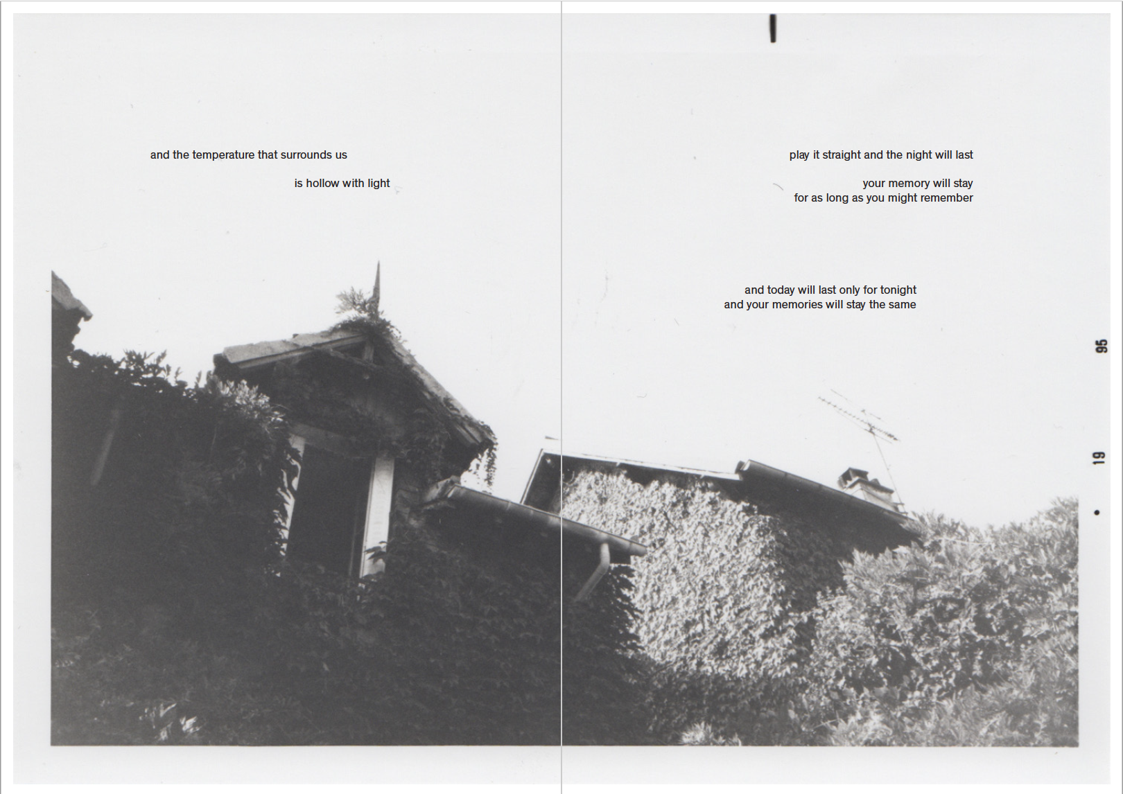 Screen Shot 2019-12-17 at 12.58.15 PM.png