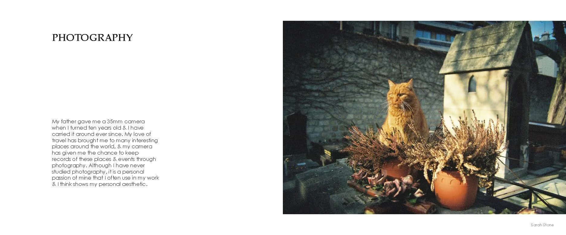 Sarah Stone Portfolio_Page_06.jpg