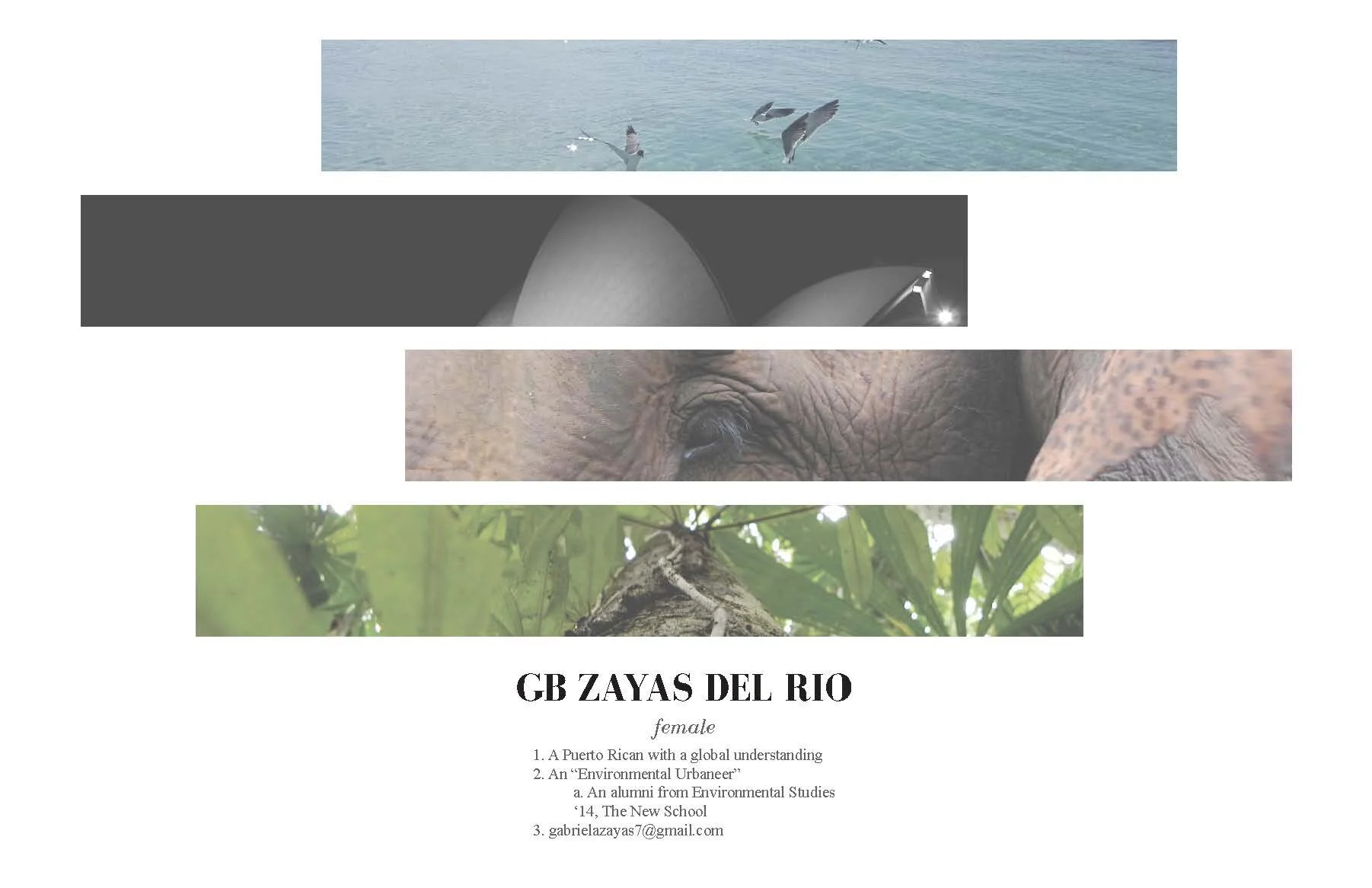 Gabriela_Zayas_Portfolio_FA13_Page_01.jpg
