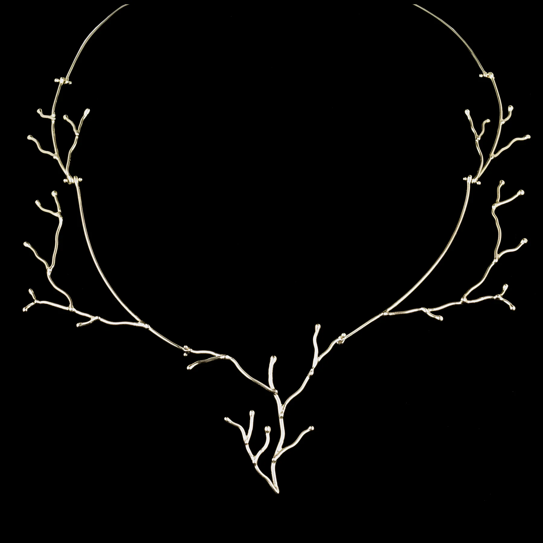TWIG.jpg