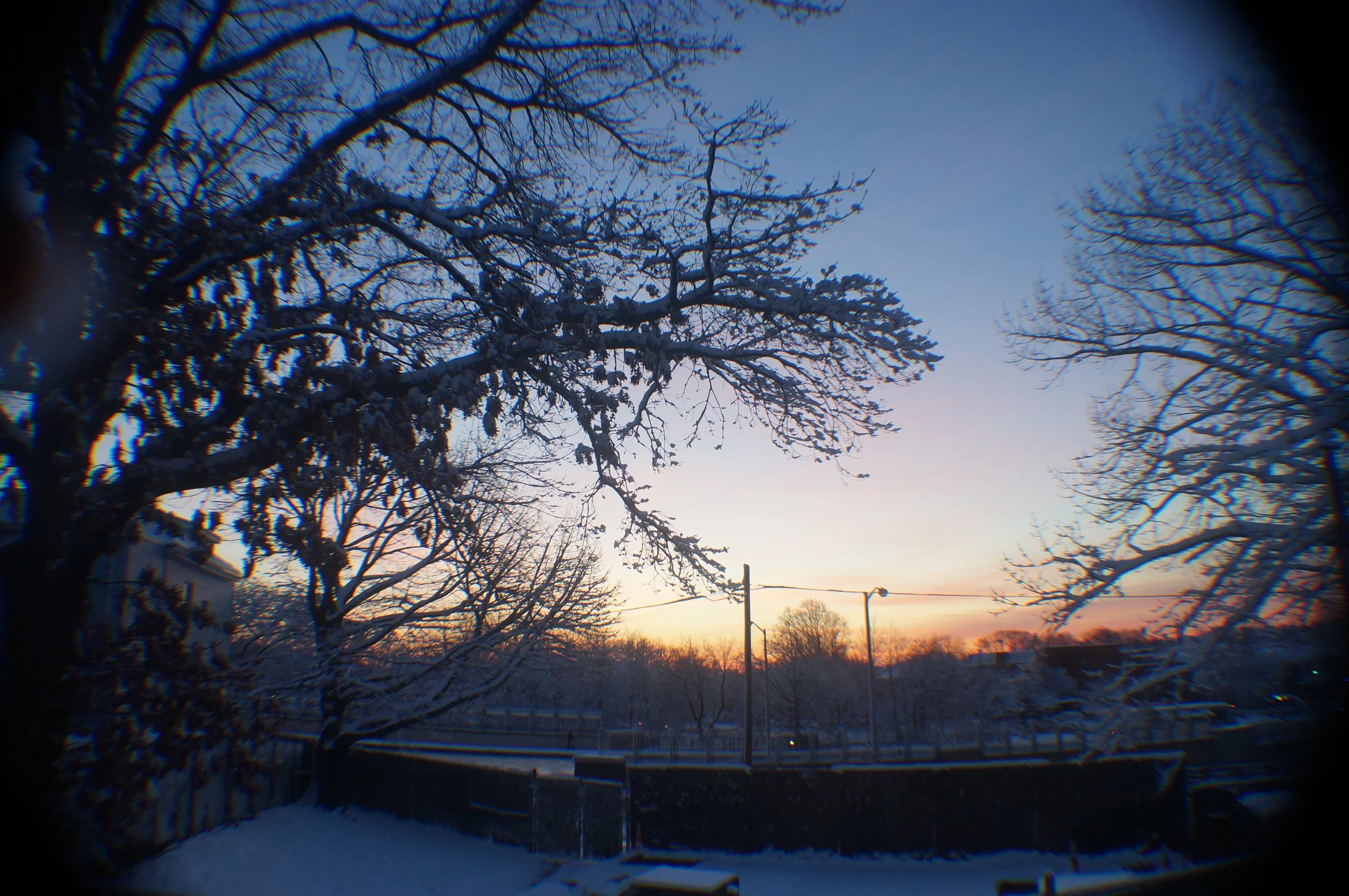 DSC05482.JPG