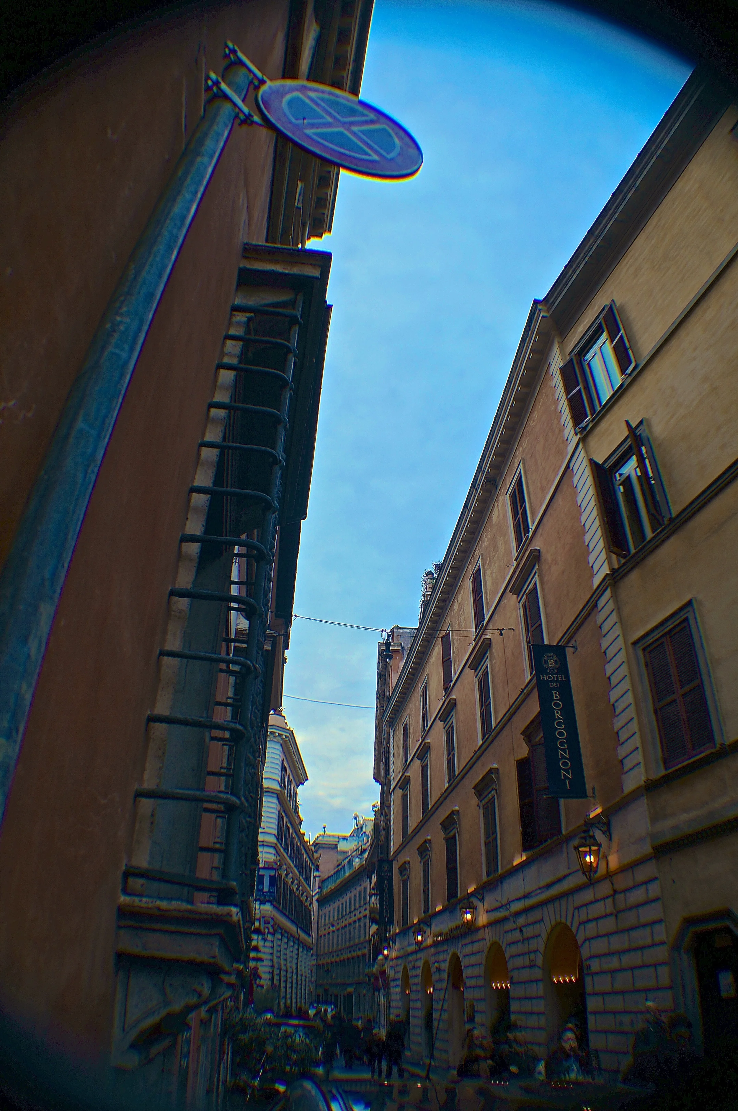 DSC04609.jpg