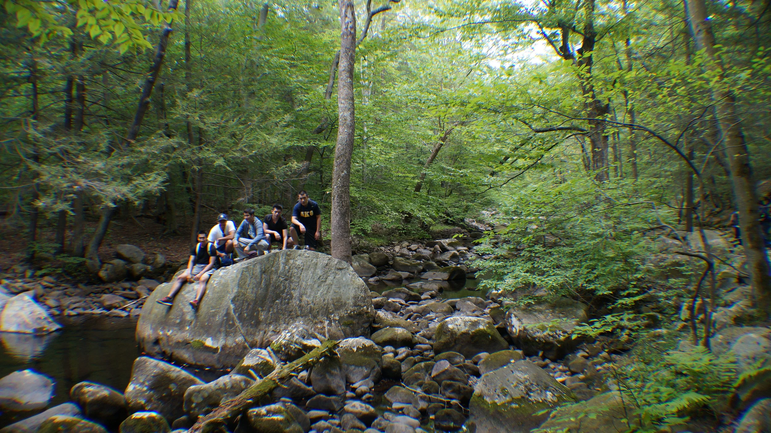 DSC08464.JPG