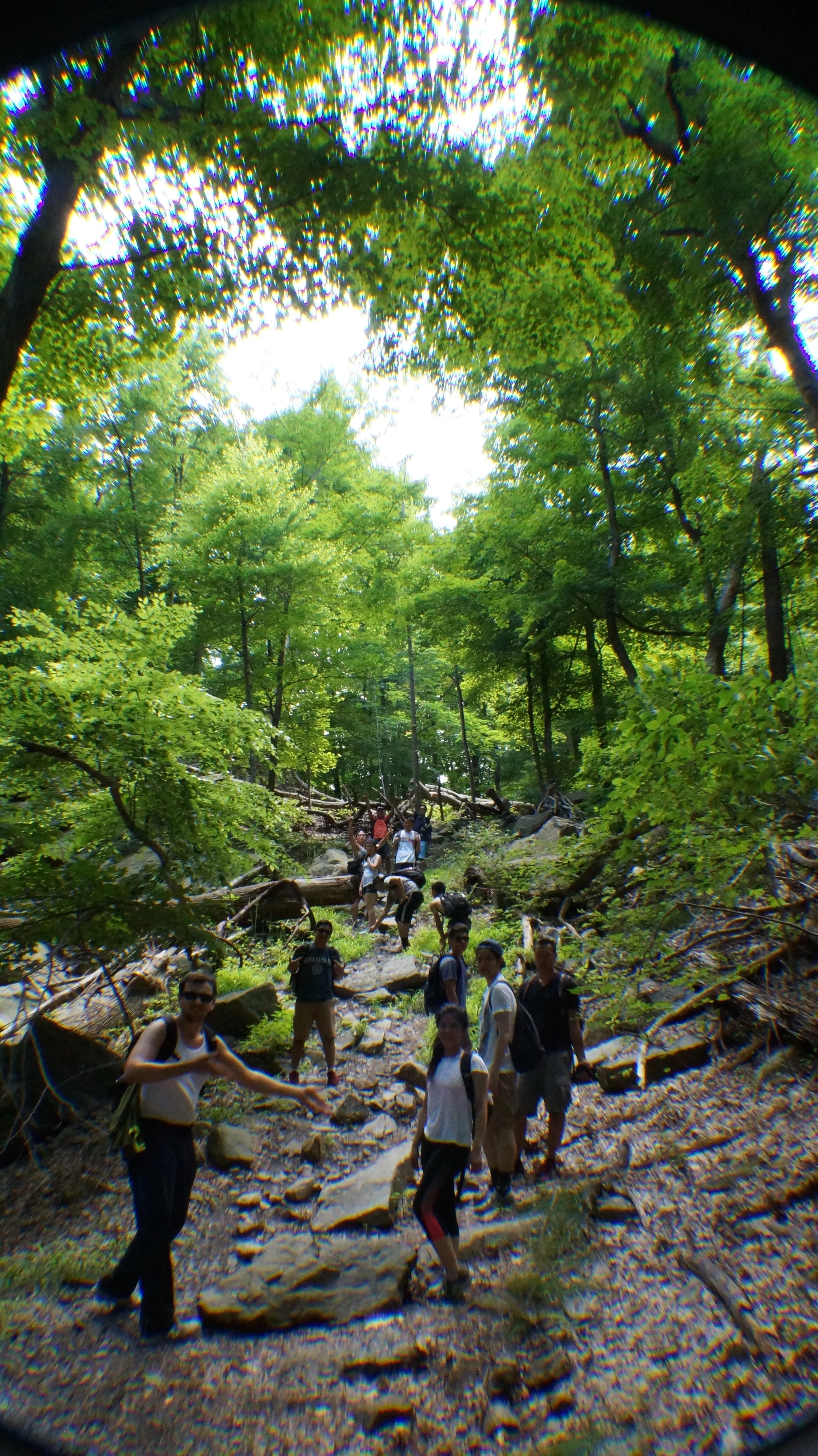 DSC07617.jpg