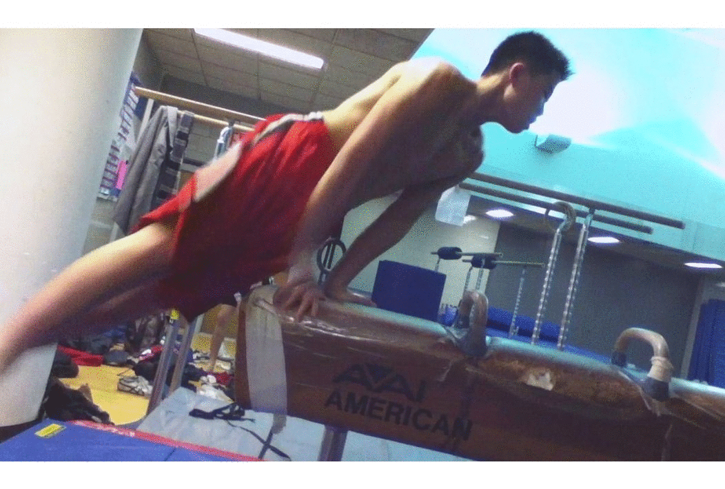 Pommel.gif