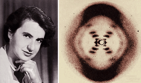 #2 Don't Forget Rosalind Franklin 9/8/14