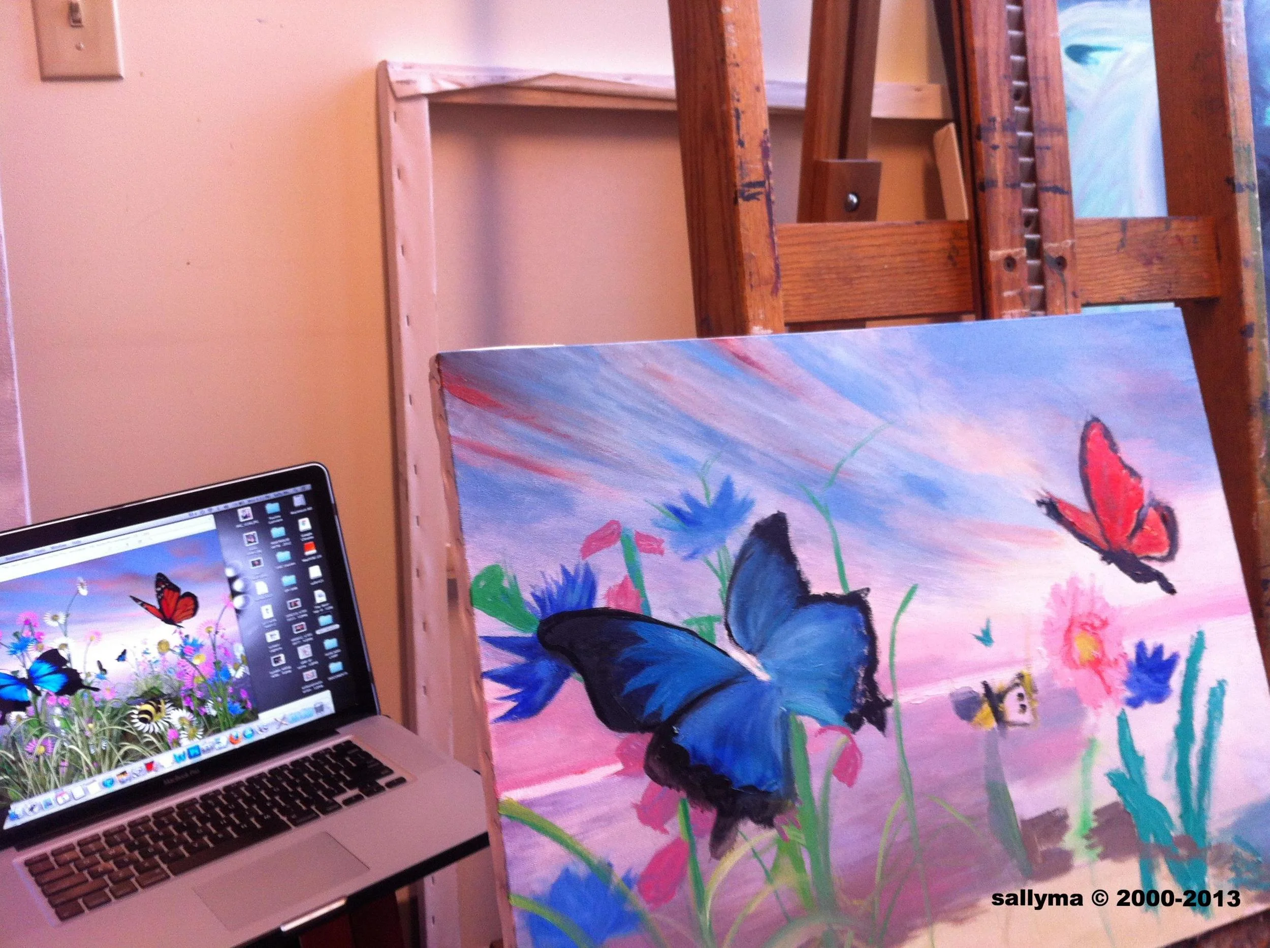  sallyma © 2000-2013 