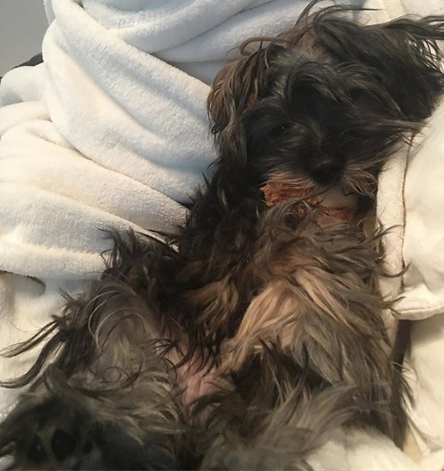 #sundaymood