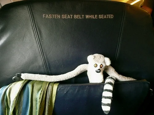 airplane seat pocket.jpg