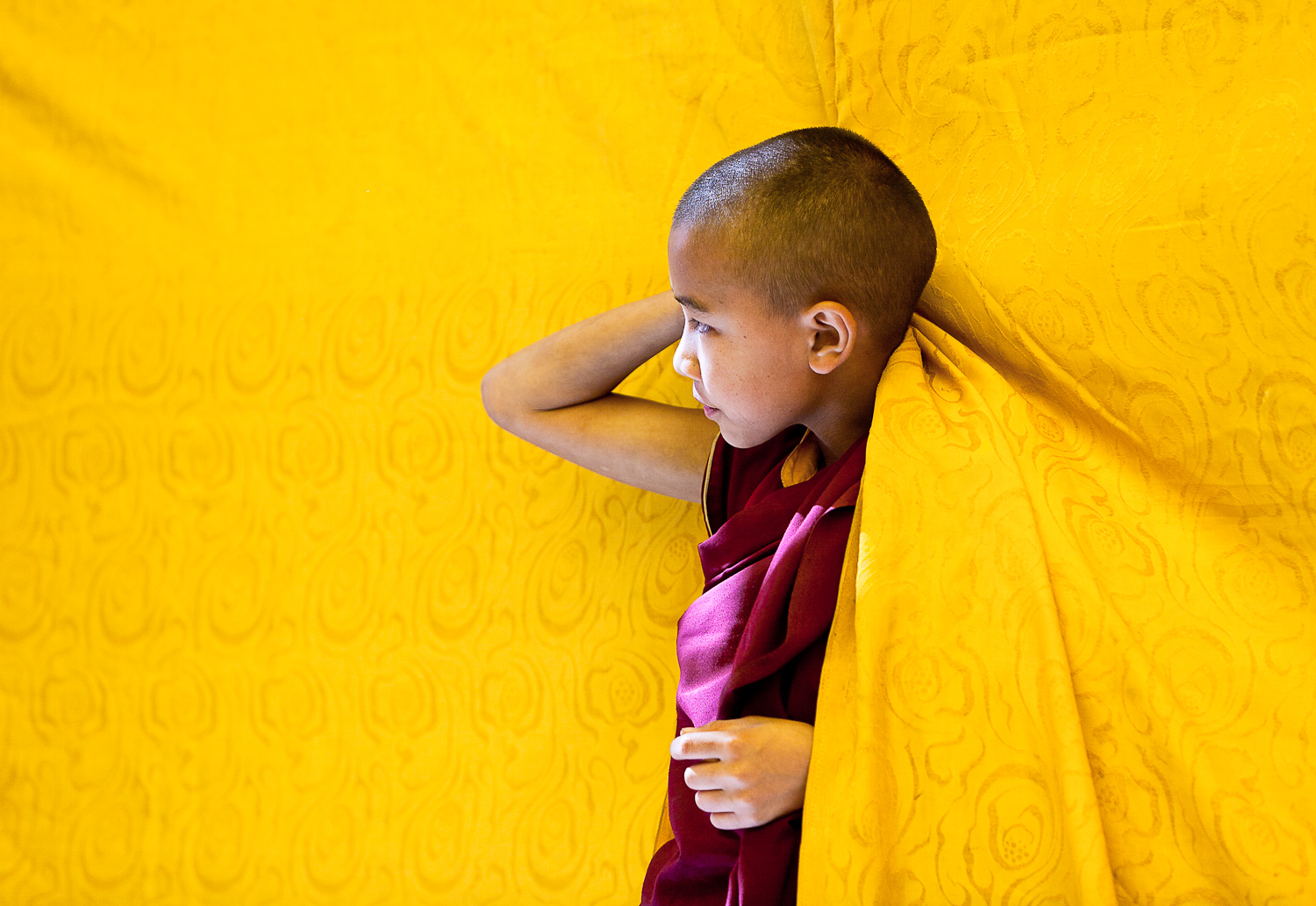 Young monk.jpg