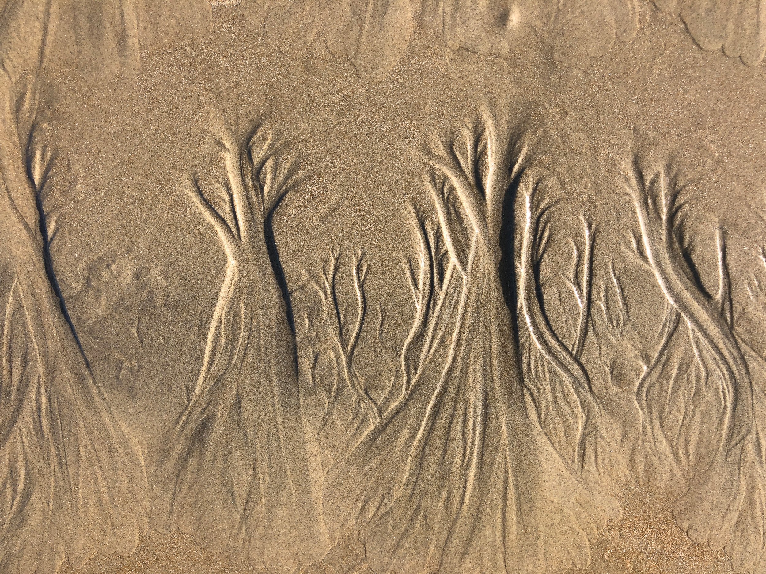 The photographer’s dictionary (II)