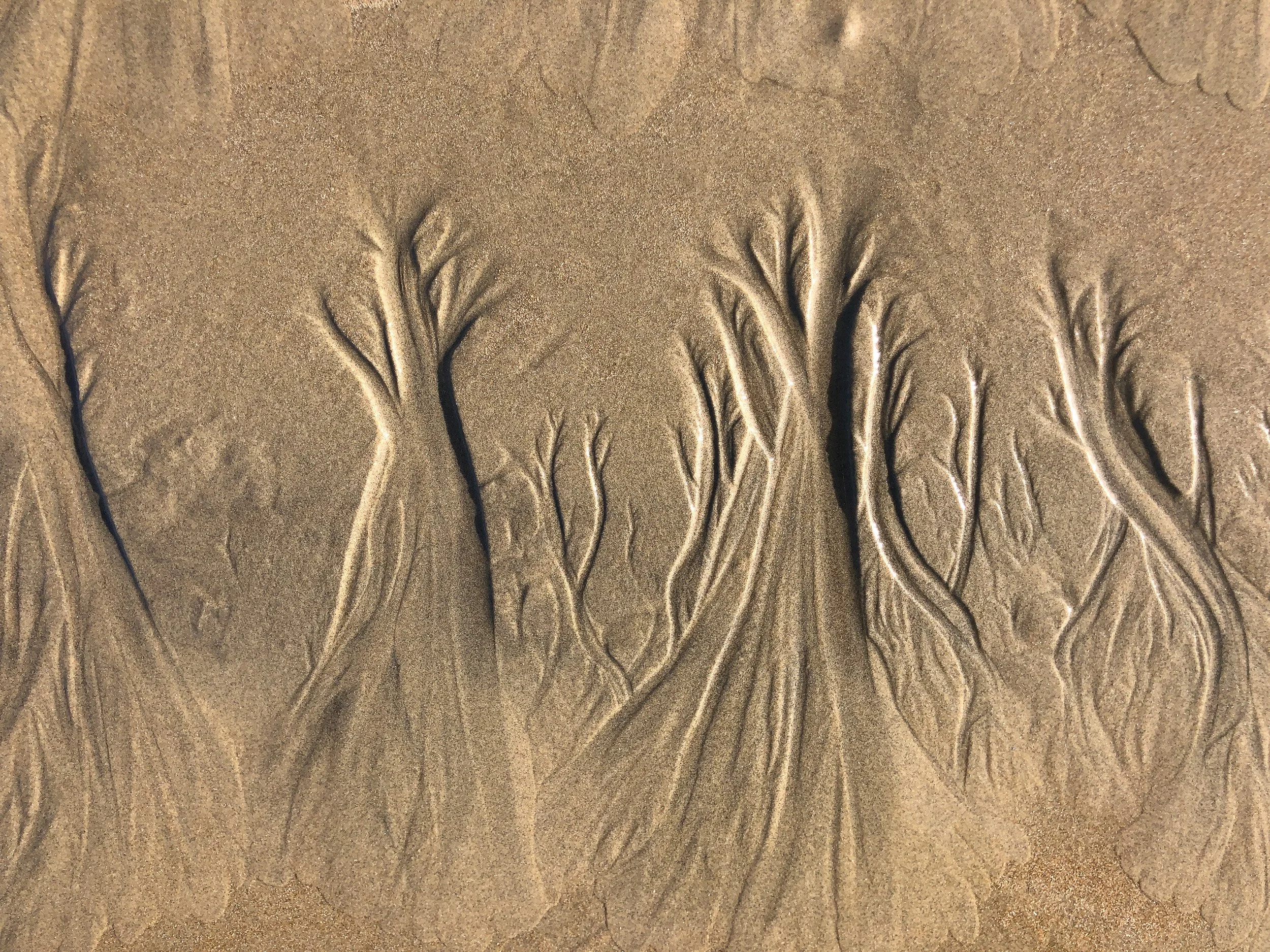Sand on a beach