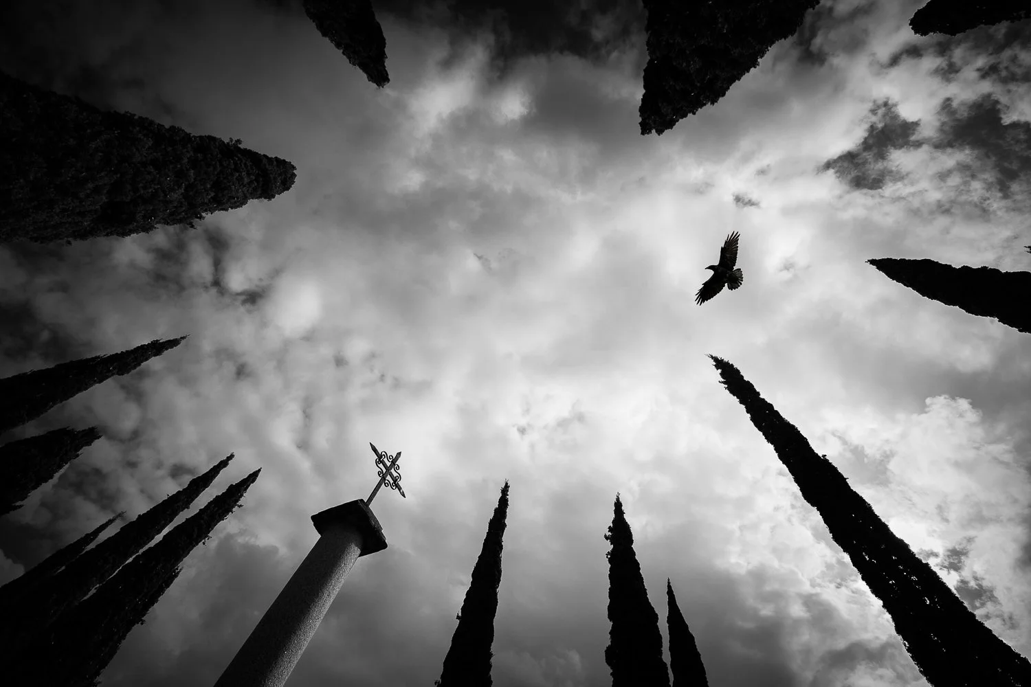 Graveyard with a bird flying overhead