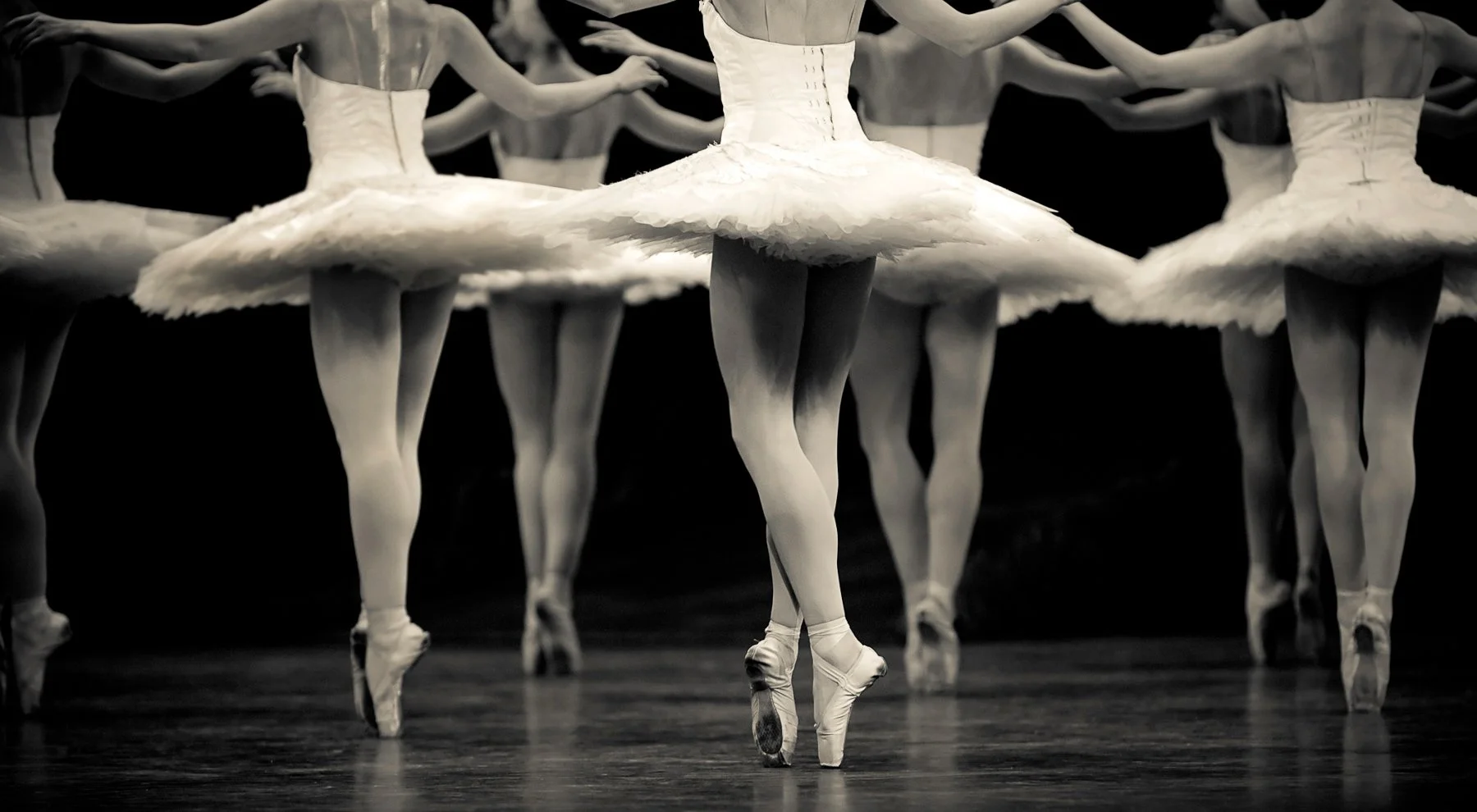 Ballerina tutus in black and white