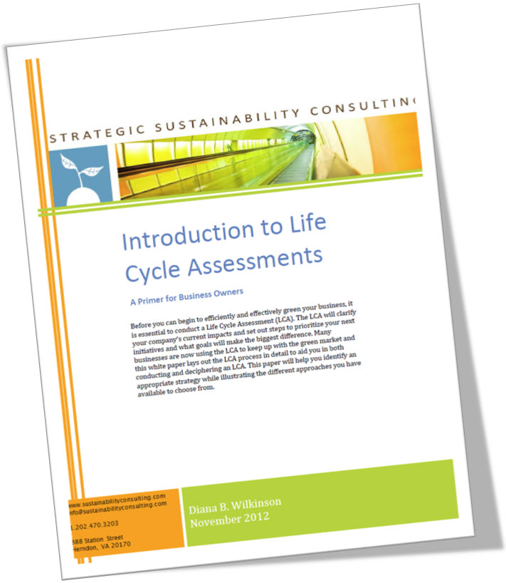 Introduction to Life Cycle Assessments A Primer for Business Owners.jpg