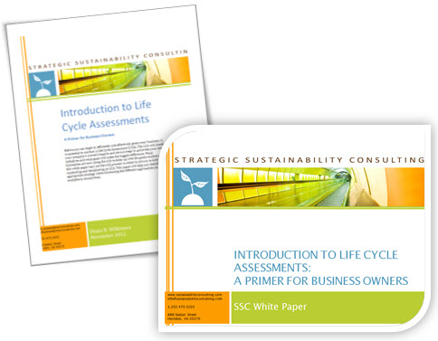 white paper and slides image.jpg