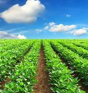 Agriculture.jpg