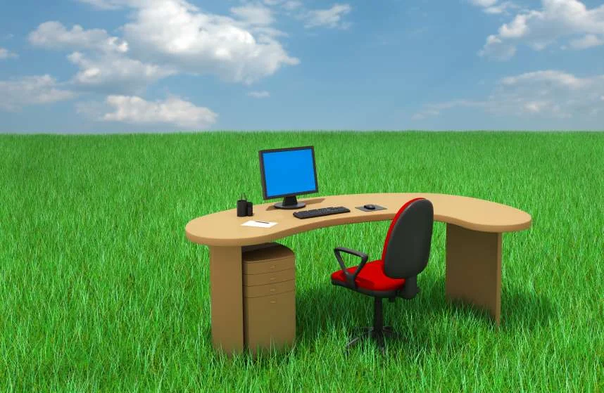 Green office.jpg