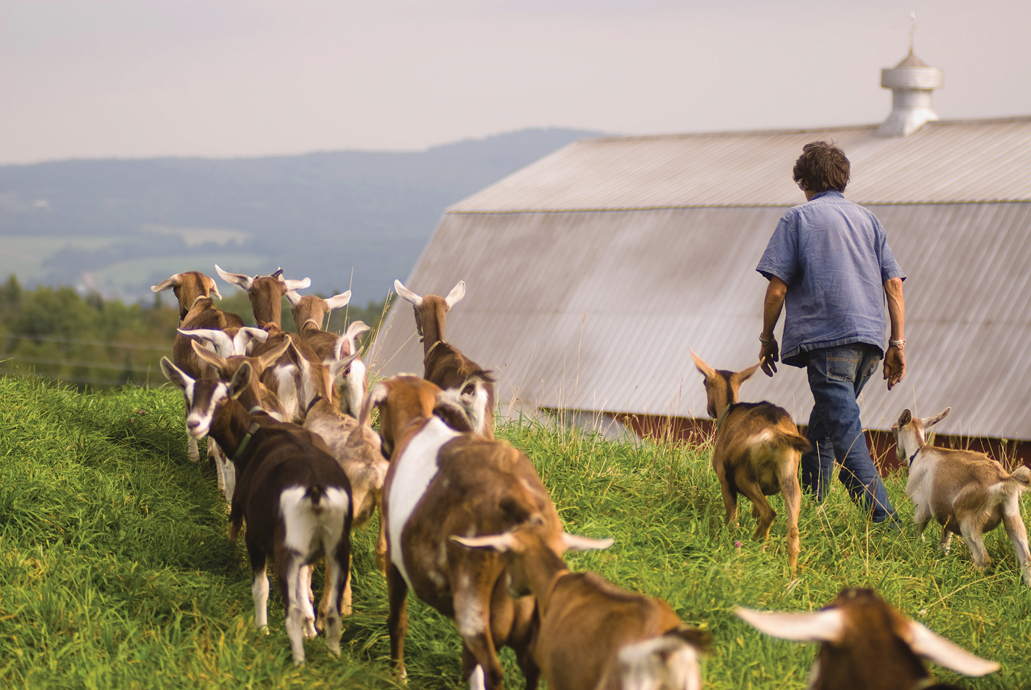 ©Tim Calabro, courtesy of Vermont Creamery