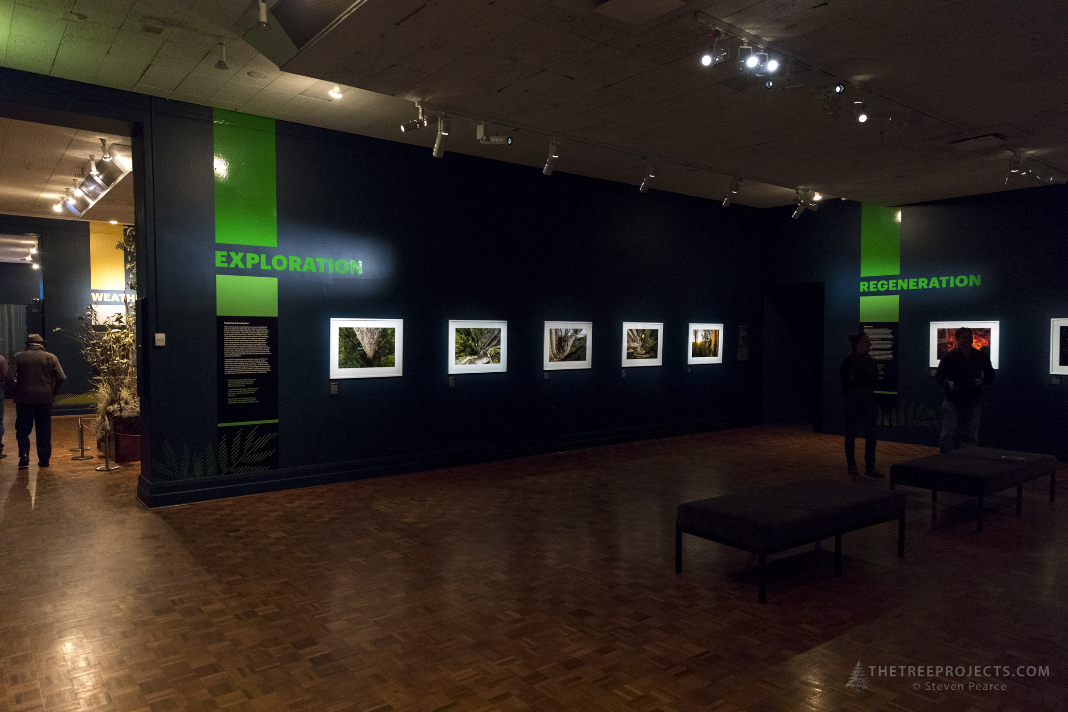 SPPhoto-WEB-20161221-_5D40265.jpg