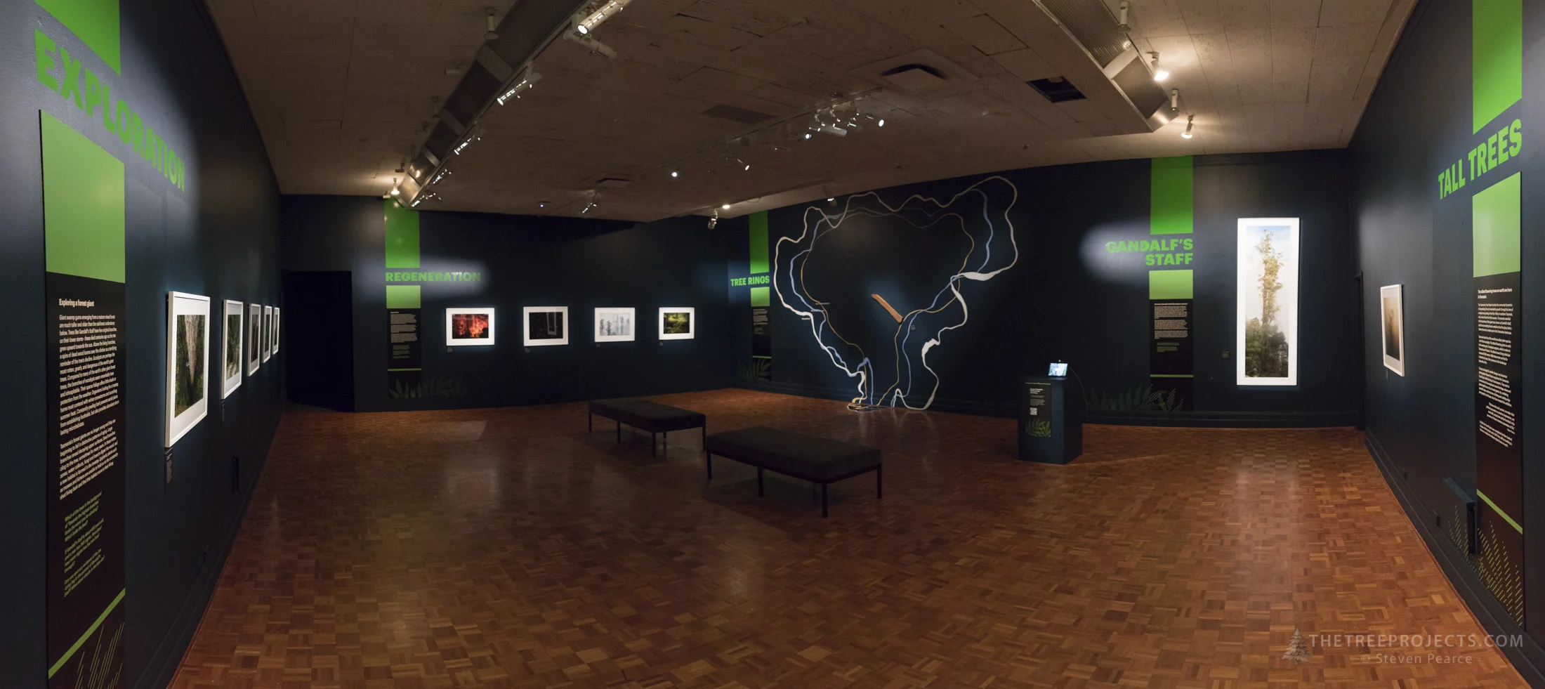 The TMAG exhibit