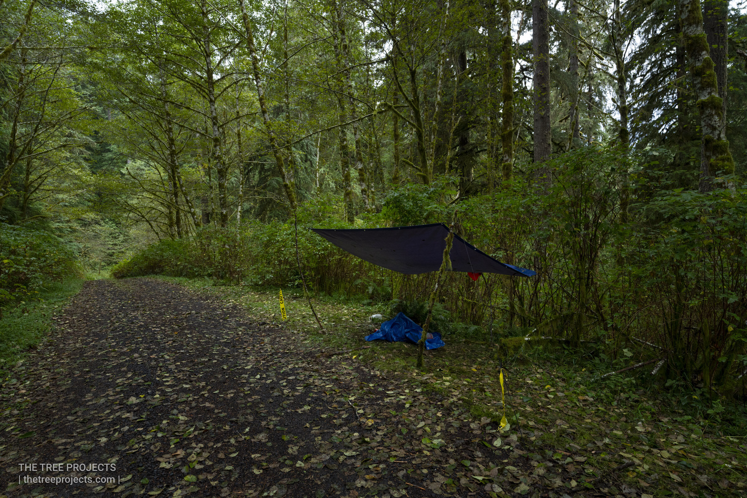 A Humble Basecamp